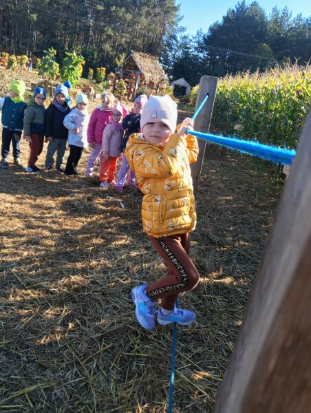 Michasia na torze przeszkód