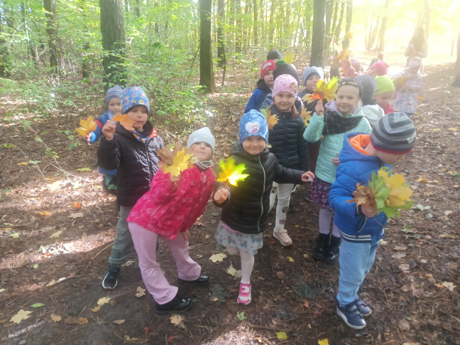 Pszczółki podczas wycieczki do lasu