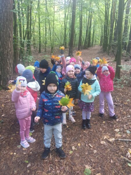 W poszukiwaniu darów jesieni