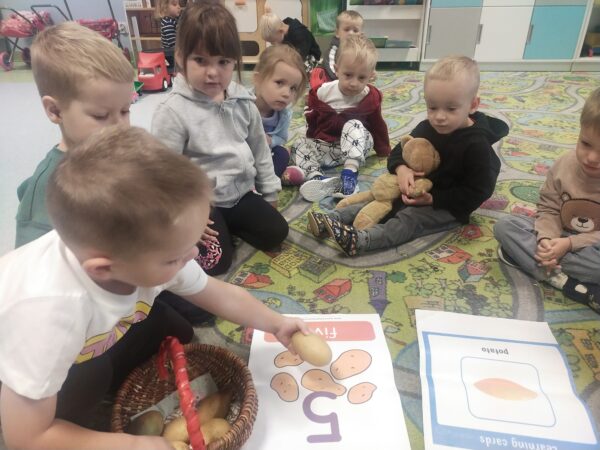 Michałek wyjmuje ziemniaki z koszyczka