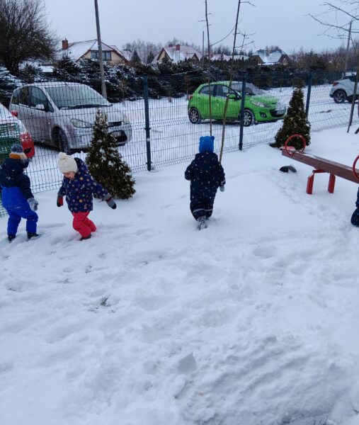 Misiowe harce na śniegu.