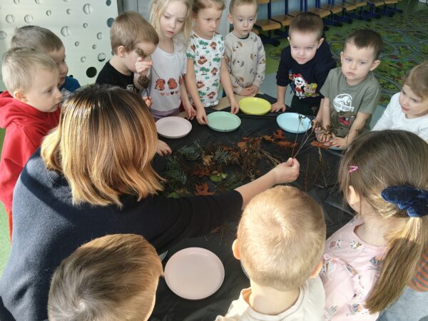 Misie wykonują lodowe pejzaże.