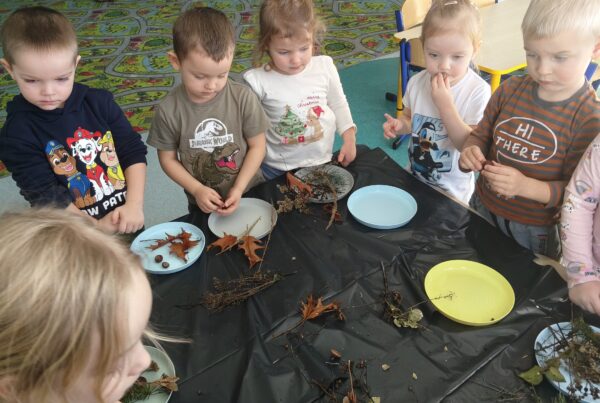 Misie wykonują lodowe pejzaże.