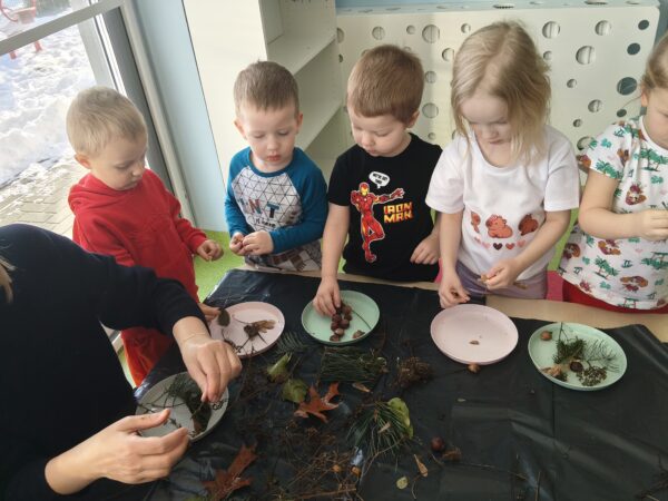 Misie wykonują lodowe pejzaże.