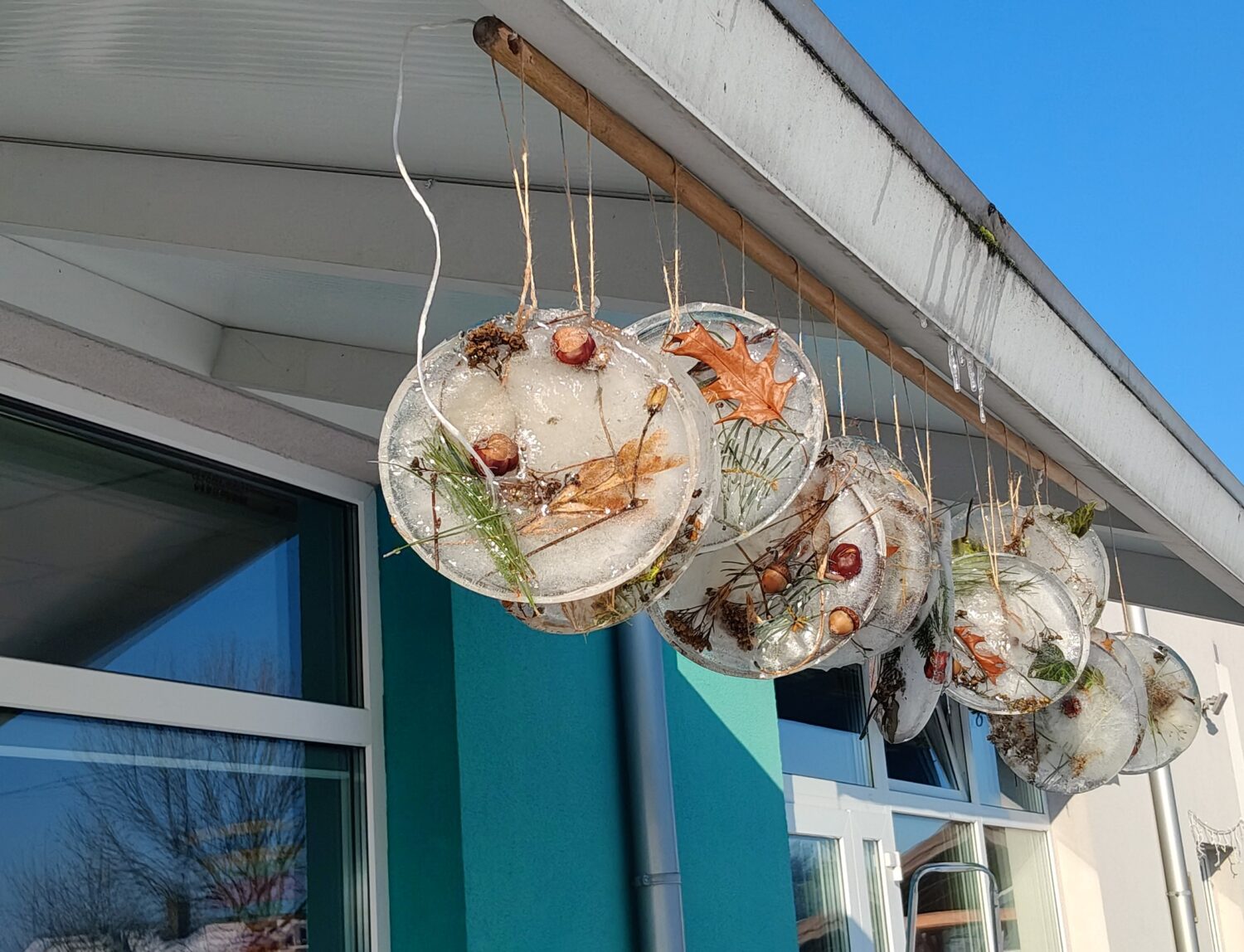 Efekty przyrodniczych eksperymentów.