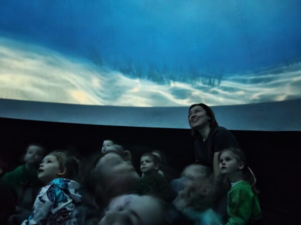 Misie poznają podwodny świat zwierząt podczas seansu filmowego.