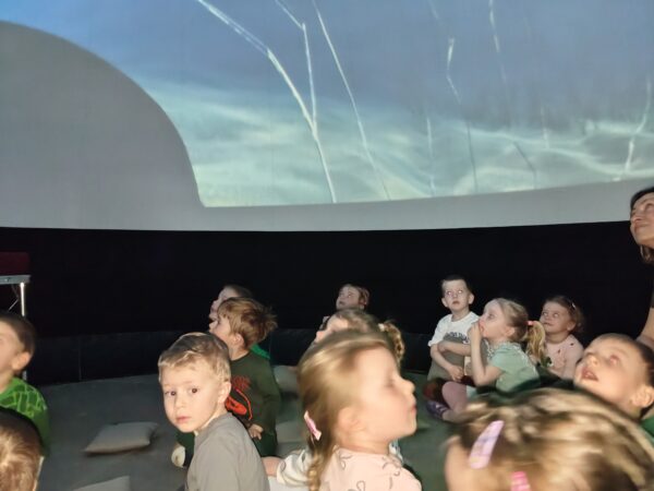 Misie poznają podwodny świat zwierząt podczas seansu filmowego.