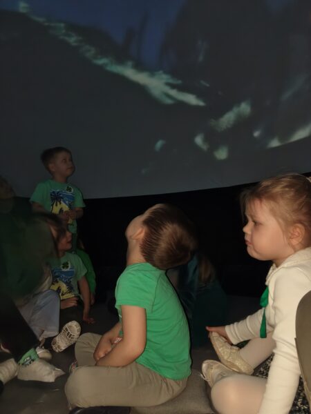 Misie poznają podwodny świat zwierząt podczas seansu filmowego.