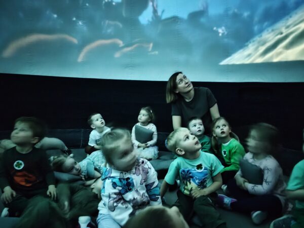 Misie poznają podwodny świat zwierząt podczas seansu filmowego.