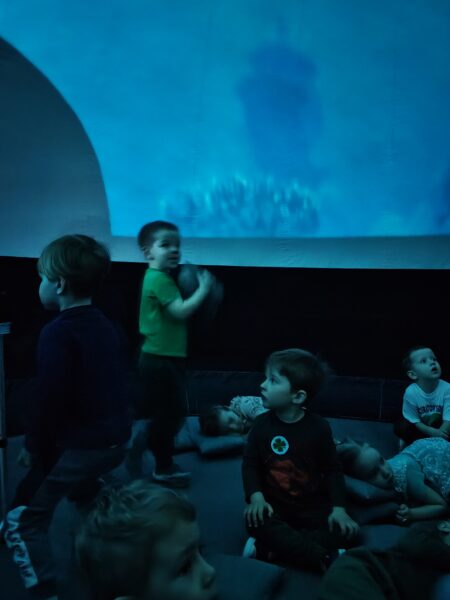 Misie poznają podwodny świat zwierząt podczas seansu filmowego.