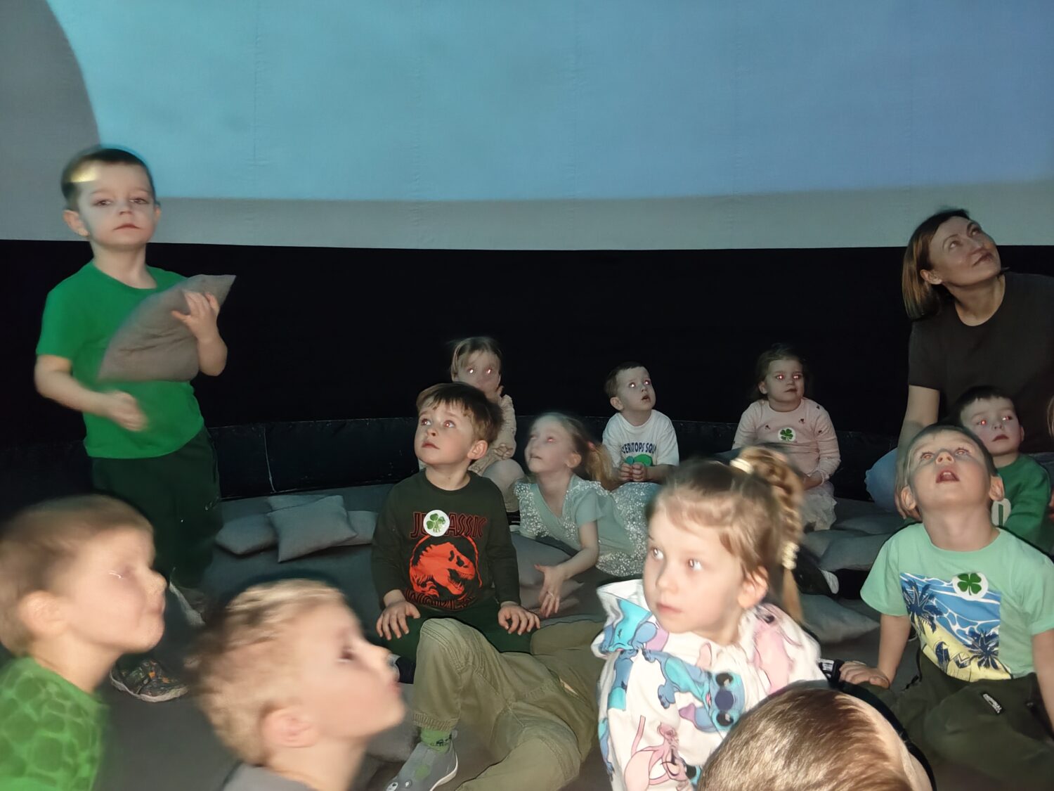 Misie poznają podwodny świat zwierząt podczas seansu filmowego.