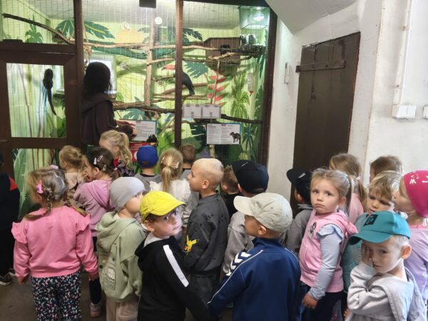 Misie biorą aktywny udział w wycieczce do Minizooparku w Walimiu.