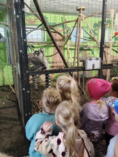 Misie biorą aktywny udział w wycieczce do Minizooparku w Walimiu.