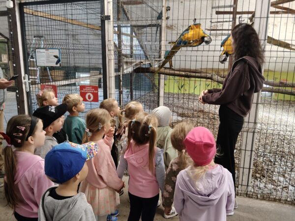 Misie biorą aktywny udział w wycieczce do Minizooparku w Walimiu.
