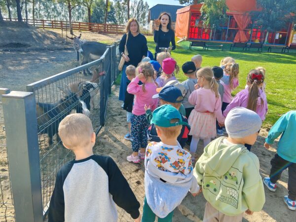 Misie biorą aktywny udział w wycieczce do Minizooparku w Walimiu.
