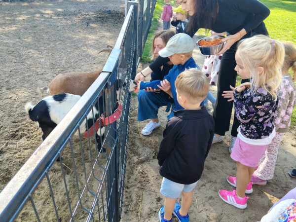 Misie biorą aktywny udział w wycieczce do Minizooparku w Walimiu.