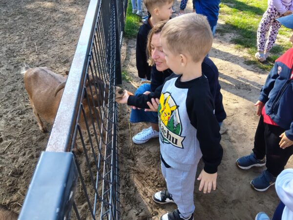 Misie biorą aktywny udział w wycieczce do Minizooparku w Walimiu.