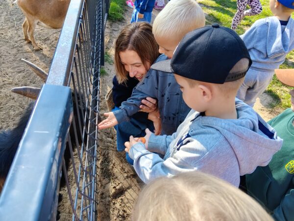 Misie biorą aktywny udział w wycieczce do Minizooparku w Walimiu.