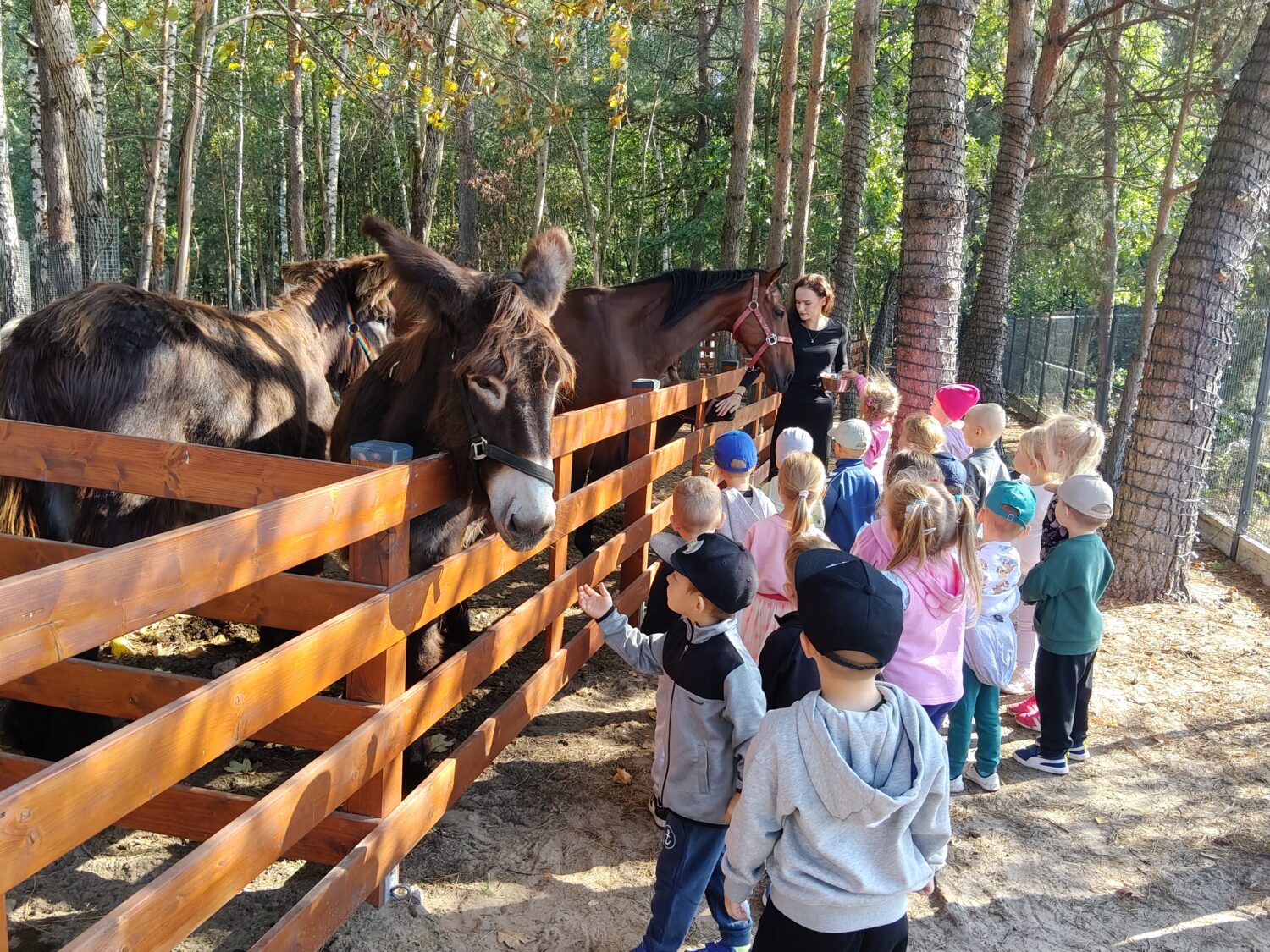 Misie biorą aktywny udział w wycieczce do Minizooparku w Walimiu.