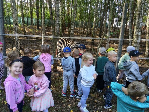 Misie biorą aktywny udział w wycieczce do Minizooparku w Walimiu.
