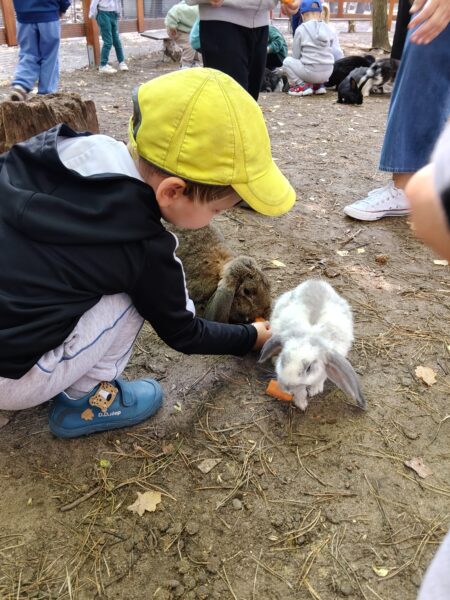 Rysio bierze aktywny udział w wycieczce do Minizooparku w Walimiu.