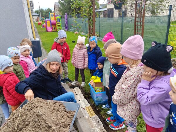 Misie sadzą cebulki tulipanów w przedszkolnym ogrodzie.
