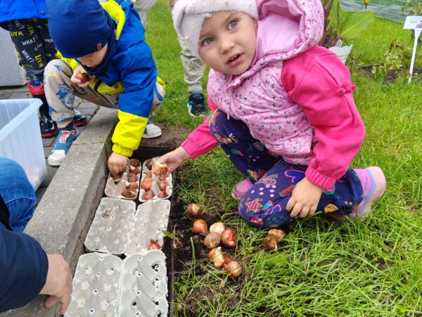 Misie sadzą cebulki tulipanów w przedszkolnym ogrodzie.