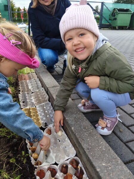 Misie sadzą cebulki tulipanów w przedszkolnym ogrodzie.