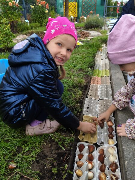 Misie sadzą cebulki tulipanów w przedszkolnym ogrodzie.