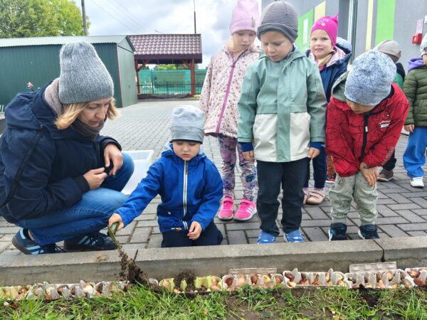 Misie sadzą cebulki tulipanów w przedszkolnym ogrodzie.