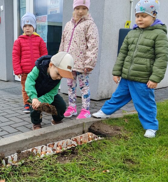 Misie sadzą cebulki tulipanów w przedszkolnym ogrodzie.
