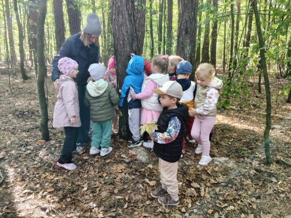 Misie uczestniczą w zajęciach outdoorowych.