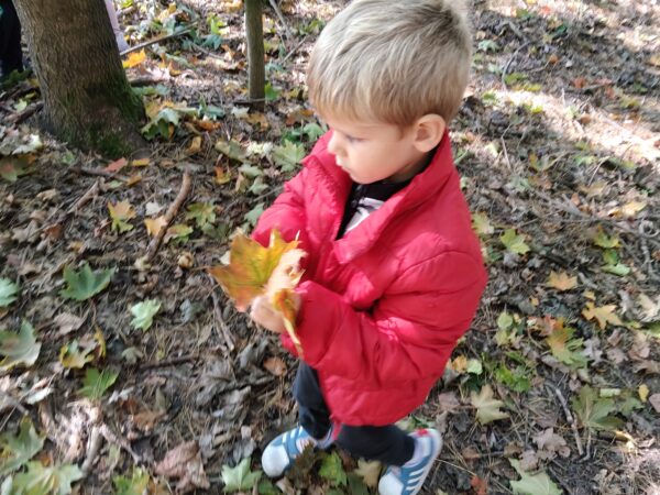 Kubuś uczestniczy w zajęciach outdoorowych.